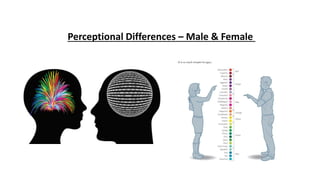 Perceptional Differences – Male & Female
 