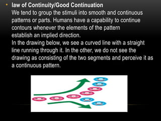 Understanding Perception: Gestalt Principles and Cognitive Processes in ...