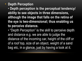 Understanding Perception: Gestalt Principles and Cognitive Processes in ...