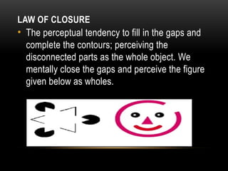 Understanding Perception: Gestalt Principles and Cognitive Processes in ...