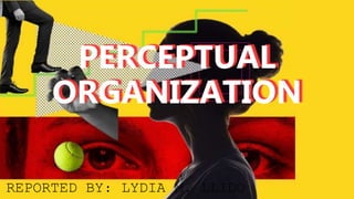 PERCEPTUAL
ORGANIZATION
REPORTED BY: LYDIA M. LLIDO
 