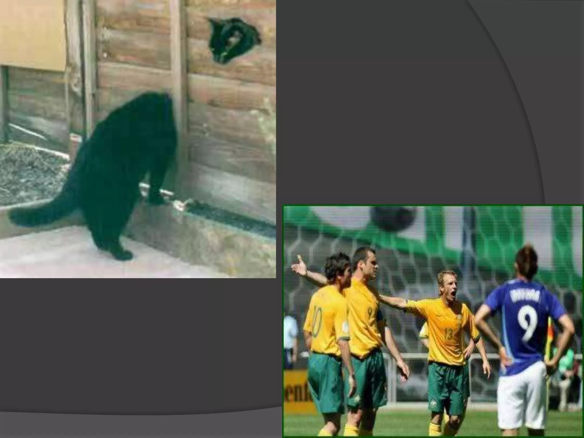 Perceptual organization & factors influencing perception | PPTX