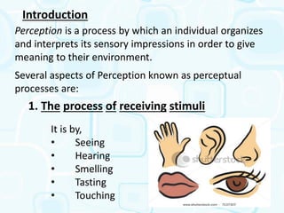 Perseptive Processes Perceptual process | PDF