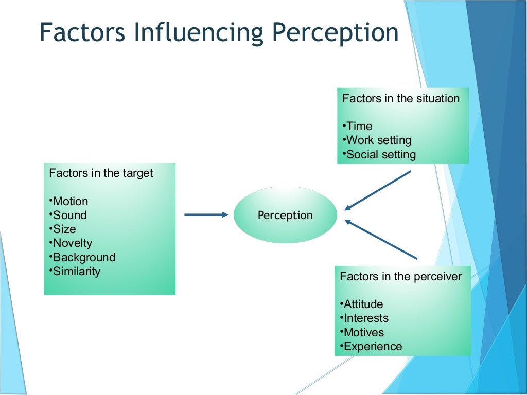 case study perception in organizational behavior