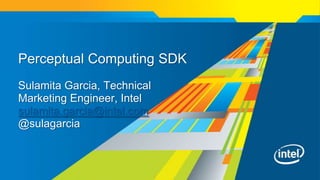 Perceptual Computing SDK
Sulamita Garcia, Technical
Marketing Engineer, Intel
sulamita.garcia@intel.com
@sulagarcia
 
