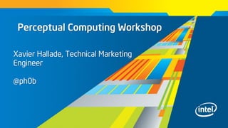 Perceptual Computing Workshop
Xavier Hallade, Technical Marketing
Engineer
@ph0b
 