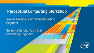 Perceptual Computing Workshop
Xavier Hallade, Technical Marketing
Engineer
Sulamita Garcia, Technical
Marketing Engineer
 