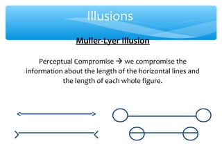 Illusions
                Muller-Lyer Illusion

    Perceptual Compromise  we compromise the
information about the length of the horizontal lines and
           the length of each whole figure.
 