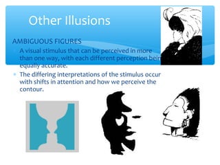 Other Illusions
∗ AMBIGUOUS FIGURES
 ∗ A visual stimulus that can be perceived in more
   than one way, with each different perception being
   equally accurate.
 ∗ The differing interpretations of the stimulus occur
   with shifts in attention and how we perceive the
   contour.
 