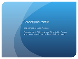 Percezione tattile capogruppo: Luca Fioraso Componenti: Chiara Basso, Giorgio De Conto, Aura Masciopinto, Anna Rossl, Silvia Schiavo 