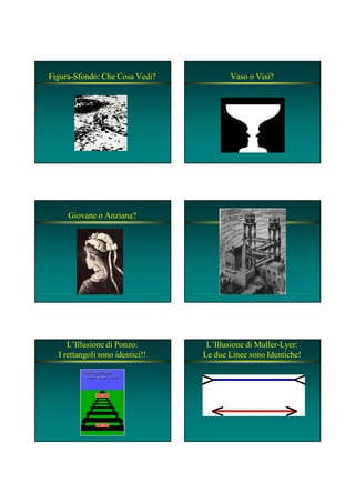 Figura-Sfondo: Che Cosa Vedi? Vaso o Visi?
Giovane o Anziana?
L’Illusione di Ponzo:
I rettangoli sono identici!!
L’Illusione di Muller-Lyer:
Le due Linee sono Identiche!
 