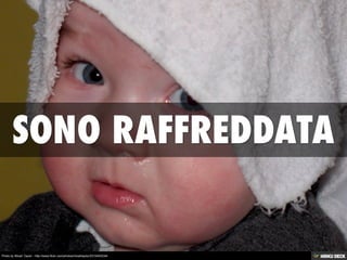 Photo by Micah Taylor - http://www.flickr.com/photos/micahtaylor/2310403234/