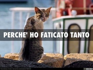 Photo by Damianos Chronakis - http://www.flickr.com/photos/danichro/7399291254/