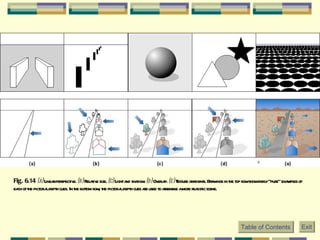 Fig. 6.14  (a)  Linear perspective.  (b)  Relative size.  (c)  Light and shadow.  (d)  Overlap.  (e)  Texture gradients. Drawings in the top row show fairly “pure” examples of each of the pictorial depth cues. In the bottom row, the pictorial depth cues are used to assemble a more realistic scene.  Table of Contents Exit 