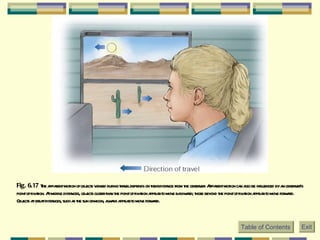 Fig. 6.17  The apparent motion of objects viewed during travel depends on their distance from the observer. Apparent motion can also be influenced by an observer’s point of fixation. At middle distances, objects closer than the point of fixation appear to move backward; those beyond the point of fixation appear to move forward. Objects at great distances, such as the sun or moon, always appear to move forward.   Table of Contents Exit 