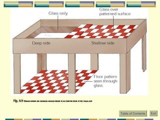 Fig. 6.9  Human infants and newborn animals refuse to go over the edge of the visual cliff   Table of Contents Exit 