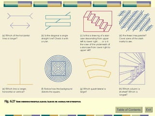 Fig. 6.27  Some interesting perceptual illusions. Illusions are a normal part of perception.   Table of Contents Exit 