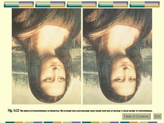 Fig. 6.22  The effects of prior experience on perception. The doctored face looks far worse when viewed right side up because it can be related to past experience.   Table of Contents Exit 