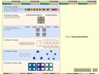 Fig. 6.3  How we organize perceptions   Table of Contents Exit 