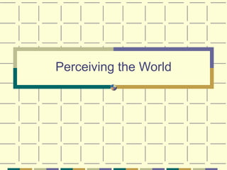 Perceiving the World 