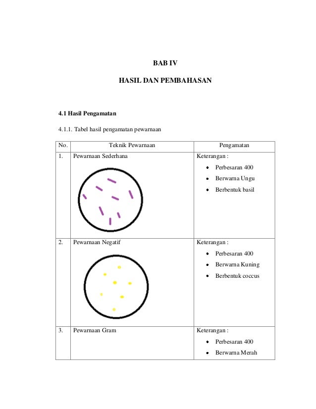 Percobaan 5 Pewarnaan
