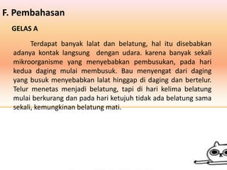 F. Pembahasan
GELAS A
Terdapat banyak lalat dan belatung, hal itu disebabkan
adanya kontak langsung dengan udara. karena banyak sekali
mikroorganisme yang menyebabkan pembusukan, pada hari
kedua daging mulai membusuk. Bau menyengat dari daging
yang busuk menyebabkan lalat hinggap di daging dan bertelur.
Telur menetas menjadi belatung, tapi di hari kelima belatung
mulai berkurang dan pada hari ketujuh tidak ada belatung sama
sekali, kemungkinan belatung mati.
 
