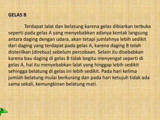 GELAS B
Terdapat lalat dan belatung karena gelas dibiarkan terbuka
seperti pada gelas A yang menyebabkan adanya kontak langsung
antara daging dengan udara, akan tetapi jumlahnya lebih sedikit
dari daging yang terdapat pada gelas A, karena daging B telah
disterilkan (direbus) sebelum percobaan. Selain itu disebabkan
karena bau daging di gelas B tidak begitu menyengat seperti di
gelas A, hal itu menyebabkan lalat yang hinggap lebih sedikit
sehingga belatung di gelas ini lebih sedikit. Pada hari kelima
jumlah belatung mulai berkurang dan pada hari ketujuh tidak ada
sama sekali, kemungkinan belatung mati.
 