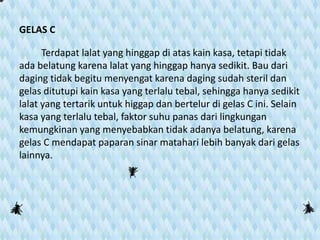 GELAS C
Terdapat lalat yang hinggap di atas kain kasa, tetapi tidak
ada belatung karena lalat yang hinggap hanya sedikit. Bau dari
daging tidak begitu menyengat karena daging sudah steril dan
gelas ditutupi kain kasa yang terlalu tebal, sehingga hanya sedikit
lalat yang tertarik untuk higgap dan bertelur di gelas C ini. Selain
kasa yang terlalu tebal, faktor suhu panas dari lingkungan
kemungkinan yang menyebabkan tidak adanya belatung, karena
gelas C mendapat paparan sinar matahari lebih banyak dari gelas
lainnya.
 