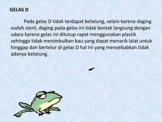 GELAS D
Pada gelas D tidak terdapat belatung, selain karena daging
sudah steril, daging pada gelas ini tidak kontak langsung dengan
udara karena gelas ini ditutup rapat menggunakan plastik
sehingga tidak menimbulkan bau yang dapat menarik lalat untuk
hinggap dan bertelur di gelas D hal ini yang menyebabkan tidak
adanya belatung.
 