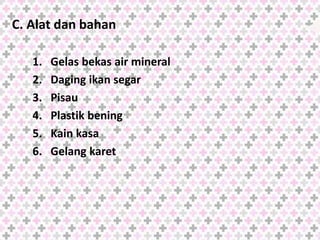C. Alat dan bahan
1. Gelas bekas air mineral
2. Daging ikan segar
3. Pisau
4. Plastik bening
5. Kain kasa
6. Gelang karet
 