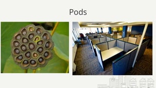 Pods
 