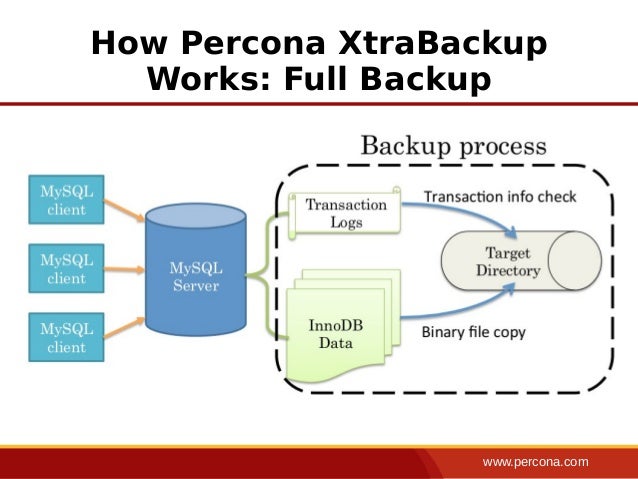 Percona mysql. Percona xtrabackup. Percona mysql. Percona mysql. Percona xtradb cluster logo.