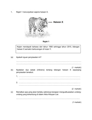 1. Rajah 1 menunjukkan sejenis haiwan X.
Rajah 1
(a) Apakah tujuan penyiasatan ini?
………………………………………………………………………………………………
………………………………………………………………………………………………
(1 markah)
(b) Nyatakan dua sebab (inferens) tentang bilangan haiwan X sepanjang
penyiasatan tersebut.
1. …………………………………………………………………………………………
…………………………………………………………………………………………
2. …………………………………………………………………………………………
…………………………………………………………………………………………
(2 markah)
(c) Ramalkan apa yang akan berlaku sekiranya kerajaan menguatkuasakan undang-
undang yang terkandung di dalam Akta Hidupan Liar.
………………………………………………………………………………………….…
(1 markah)
Kajian mendapati bahawa dari tahun 1995 sehingga tahun 2015, bilangan
haiwan X semakin berkurangan di hutan Y.
 