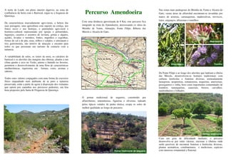A norte de Loulé, em pleno interior algarvio, na zona de
confluência da Serra com o Barrocal, ergue-se a freguesia de
Querença.
De características marcadamente agro-rurais, a beleza das
suas paisagens, uma agricultura com suporte na cortiça, nos
frutos secos e nos hortejos, o património agro-rural e
histórico-cultural representado por igrejas e pelourinhos,
lugarejos, casarios e assentos de lavoura, grutas e algares,
açudes, levadas e moinhos, fontes, engenhos e cegonhas,
fornos de cal e de pão, eiras, trilhos e valados, o artesanato e
rica gastronomia, são motivo de atracção e encanto para
todos os que procuram um turismo de contacto com a
natureza.
A variabilidade de solos, os xistos da serra, os calcários do
barrocal e os aluviões das margens das ribeiras, aliados a um
clima quente e seco no Verão, ameno e húmido no Inverno,
permitem o desenvolvimento de uma flora de características
mediterrânicas, riquíssima em formas, cores, aromas e
sabores.
Todos estes valores conjugados com uma forma de exercício
físico enquadrado num ambiente de ar puro e natureza
preservada, estão a partir de agora à disposição dos visitantes
que optem por caminhar nos percursos pedestres, em boa
hora propostos pela Junta de Freguesia de Querença.
Com uma distância aproximada de 8 Km, este percurso fica
integrado na zona da Amendoeira, atravessando os sítios do
Moinho de Vento, Almarjão, Fonte Filipe, Ribeira das
Mercês e Alcaria do Gato.
O pomar tradicional de sequeiro, constituído por
alfarrobeiras, amendoeiras, figueiras e oliveiras, ladeado
pelos típicos valados de pedra rústica, ocupa os solos de
melhor qualidade ao longo do percurso.
Nas zonas mais pedregosas do Moinho de Vento e Alcaria do
Gato, vastas áreas de alfarrobal encontram-se invadidas por
matos de aroeiras, carrasqueiras, madressilvas, troviscos,
tojos, sarguaços, alfazemas e tomilhos.
Da Fonte Filipe e ao longo dos aluviões que ladeiam a ribeira
das Mercês, desenvolvem-se hortejos tradicionais com
culturas hortícolas e fruteiras diversas, nomeadamente
laranjeiras, nespereiras, romanzeiras, nogueiras, ameixeiras,
pessegueiros e vinha, bem como importantes comunidades de
loendros, tamargueiras, canaviais, freixos, carvalhos,
medronheiros e folhados.
Com um grau de dificuldade mediano, o percurso
desenvolve-se por entre várzeas, encostas e ribeiras onde
serão passíveis de encontrar fruteiras e hortícolas diversas,
plantas aromáticas, condimentares e medicinais, espécies
com interesse ornamental e florestal.
Percurso Amendoeira
Alfarrobeira Tomilho
Madressilva
Pomar tradicional de sequeiro
Hortejo tradicional
 