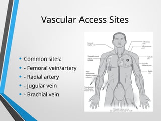 Vascular Access Sites
• Common sites:
• - Femoral vein/artery
• - Radial artery
• - Jugular vein
• - Brachial vein
 