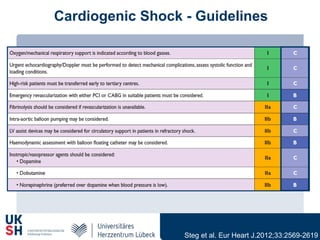 Cardiogenic Shock - Guidelines
Steg et al. Eur Heart J.2012;33:2569-2619
 