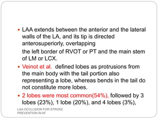  LAA extends between the anterior and the lateral
walls of the LA, and its tip is directed
anterosuperiorly, overlapping
the left border of RVOT or PT and the main stem
of LM or LCX.
 Veinot et al. defined lobes as protrusions from
the main body with the tail portion also
representing a lobe, whereas bends in the tail do
not constitute more lobes.
 2 lobes were most common(54%), followed by 3
lobes (23%), 1 lobe (20%), and 4 lobes (3%),
LAA OCCLUSION FOR STROKE
PREVENTION IN AF
 