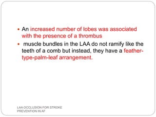  An increased number of lobes was associated
with the presence of a thrombus
 muscle bundles in the LAA do not ramify like the
teeth of a comb but instead, they have a feather-
type-palm-leaf arrangement.
LAA OCCLUSION FOR STROKE
PREVENTION IN AF
 
