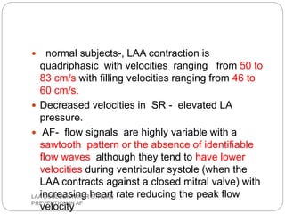  normal subjects-, LAA contraction is
quadriphasic with velocities ranging from 50 to
83 cm/s with filling velocities ranging from 46 to
60 cm/s.
 Decreased velocities in SR - elevated LA
pressure.
 AF- flow signals are highly variable with a
sawtooth pattern or the absence of identifiable
flow waves although they tend to have lower
velocities during ventricular systole (when the
LAA contracts against a closed mitral valve) with
increasing heart rate reducing the peak flow
velocity
LAA OCCLUSION FOR STROKE
PREVENTION IN AF
 