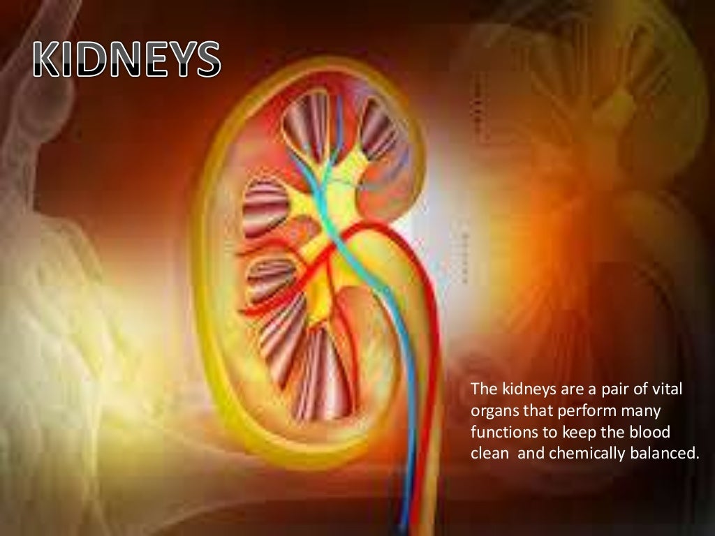 Percutaneous Nephrolithotomy Surgery India