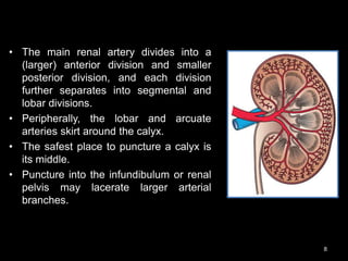 • The main renal artery divides into a
(larger) anterior division and smaller
posterior division, and each division
further separates into segmental and
lobar divisions.
• Peripherally, the lobar and arcuate
arteries skirt around the calyx.
• The safest place to puncture a calyx is
its middle.
• Puncture into the infundibulum or renal
pelvis may lacerate larger arterial
branches.
8
 