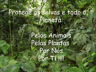 Protege as selvas e todo o Planeta  Pelos Animais Pelas Plantas  Por Nós Por  Ti  !!!! 