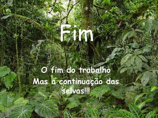 Fim O fim do trabalho Mas a continuação das selvas!!! 