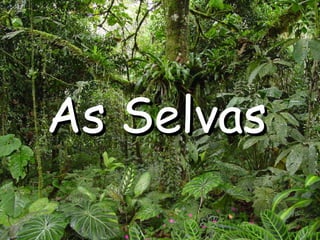 As Selvas 