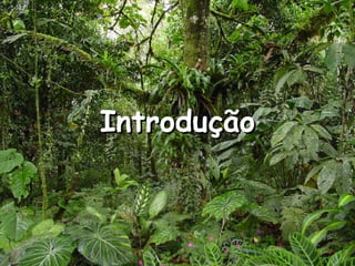 Introdução 