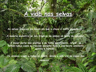 A vida nas selvas As selvas crescem em locais em que a chuva é muito abundante.  A maioria encontra-se nos trópicos de ambos os lados do equador.  A maior parte das plantas é de folha persistente, isto é, as folhas nunca caem e crescem durante todo o ano neste ambiente quente e húmido.  Os animais vivem a todos os níveis, desde o solo até às copas das árvores.   