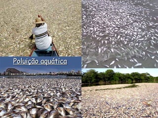 Poluição aquática 