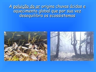 A  poluição do ar  origina chuvas ácidas e aquecimento global que por sua vez desequilibra os ecossistemas 