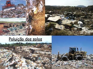 Poluição dos solos 