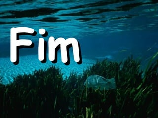 Fim 